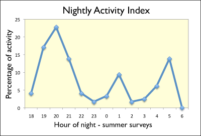 Nightly Activity