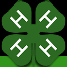 4H logo